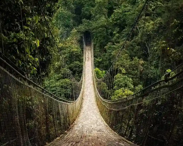 Wisata Alam Situ Gunung Sukabumi Terpopuler